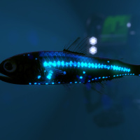 Glow for it! How do creatures make light?