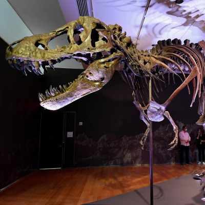 Brains On! Science Podcast For Kids