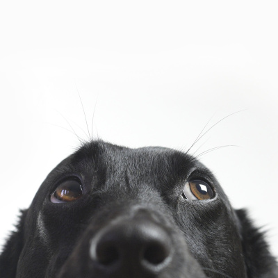 Brains On! Science Podcast For Kids