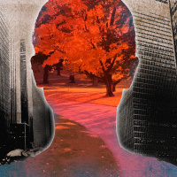 Gehwegschäden - Verteilungskämpfe der Gegenwart