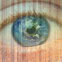 Im Dienst der Sache - Protokoll eines Verrats um Wikileaks