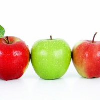 No one recovers like another