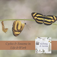 Cycles and Seasons in Life and Work {252}