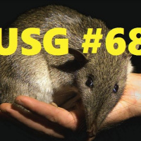 The Bandicoot One: USG #68