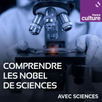 Comprendre les Nobel de sciences : Des gardiens de l’immunité récompensés par le prix Nobel de Physiologie ou Médecine 2025