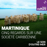 Martinique. Cinq regards sur une société caribéenne : Le Mémorial de la catastrophe de 1902, un lieu de mémoire à Saint-Pierre