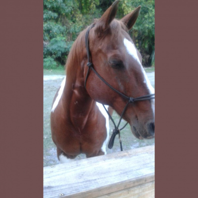 21st Century Native Leaders