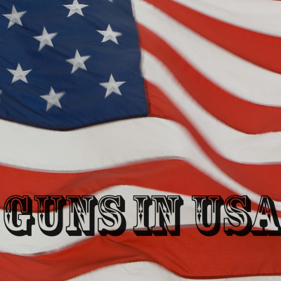 Guns In Usa Voices Of We The People
