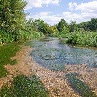 Professor Kate Heppell on chalk stream environments and the threats to these beautiful rivers