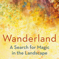 A Search for Magic in the Landscape with Jini Reddy