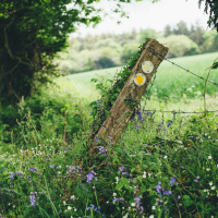 The Forgotten Paths of the UK by Dr Joe Thorogood, Dr Phil Wadey and Jack Cornish