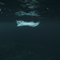 Marine plastic in the Southern Ocean with Dr Clara Manno