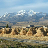 Dr Jess Hope and Grace Healy on sustainable development: what does Bolivia teach us?