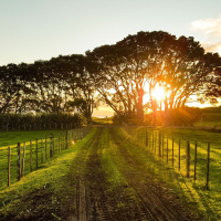 Do you know what the Countryside Survey is? Dr Lisa Norton explains