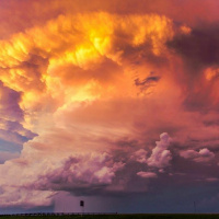A Royal Meteorological Society update on weather, climate and COVID-19. Dr Sylvia Knight