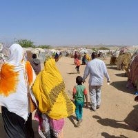 How is internal migration changing cities? Professor Michael Collyer