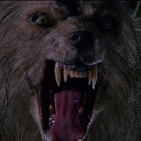 Episode 909: Bad Moon (1996)
