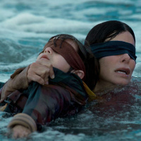 643: Bird Box (2018)