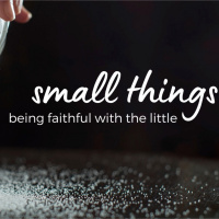 1-16-22 - Small Things- Salt