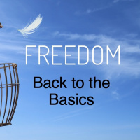 1-3-21 - Freedom- Back To The Basics