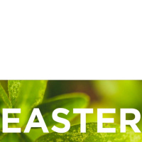Easter Sunday - Empty! From Death To New Life - 4 - 12 - 20
