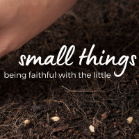 1-2-22 - Small Things- Seeds