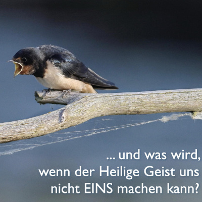Predigten U. Andachten Aus Der Ev. Stadtmission Und Von Lebensbrot