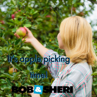 Its Apple Picking Time!