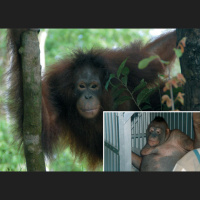 Episode 163: Danny Goats Muff