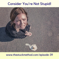 039: Consider You are Not Stupid