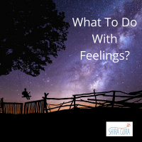 056: What To Do with Feelings?