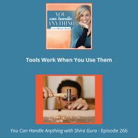 266: The Tools Work (When You Use Them)