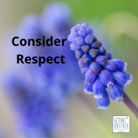093 Consider Respect
