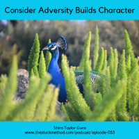 053: Consider Adversity Builds Character