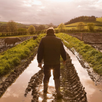 201: Your health is your wealth