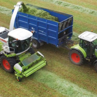 127: Gaining more milk from forage