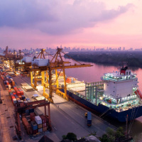 204: Grain markets around the world