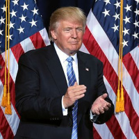 18: 12 months of Trump