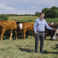 11: Suckler cow nutrition, rotational grazing and being part of the Strategic Farm network