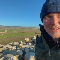 128: Lambing in the North