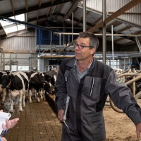 268: Cattle handling: keep calm and keep moo-ving