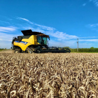 363: AHDB Cereals  Oilseeds: Harvest Hot Topics - from East to West