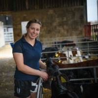 448: Heifer to bull: Maximising calf potential (part one)