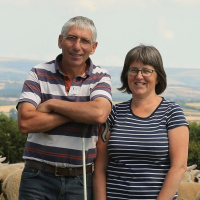 2: Lameness, the Five Point Plan and top tips