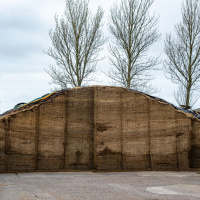 370: AHDB Dairy: Top tips for a silage waste walk