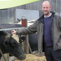 115: Mastitis turnaround yields growth