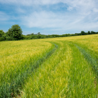 337: Shape the Future - what are the next steps?