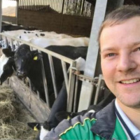 93: The benefits of growing Lucerne for dairy cow diets