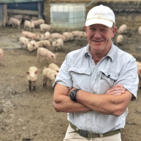 288: Training and development: cost or asset?