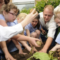 238: Millions of children have learned that potatoes dont grow on trees